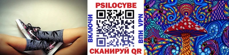 Псилоцибиновые грибы Psilocybine cubensis  Туринск 